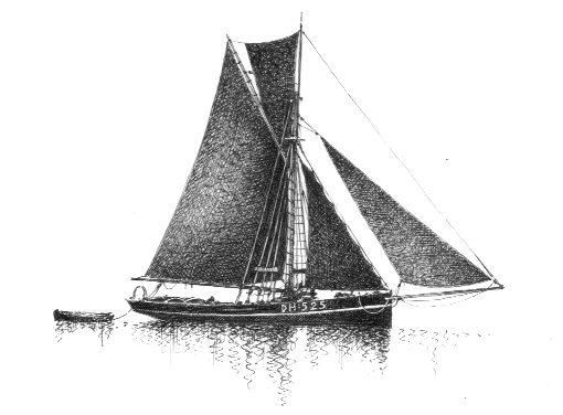 GB - Mamble bee di Brixham (18919